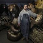 View "The Taxidermist"